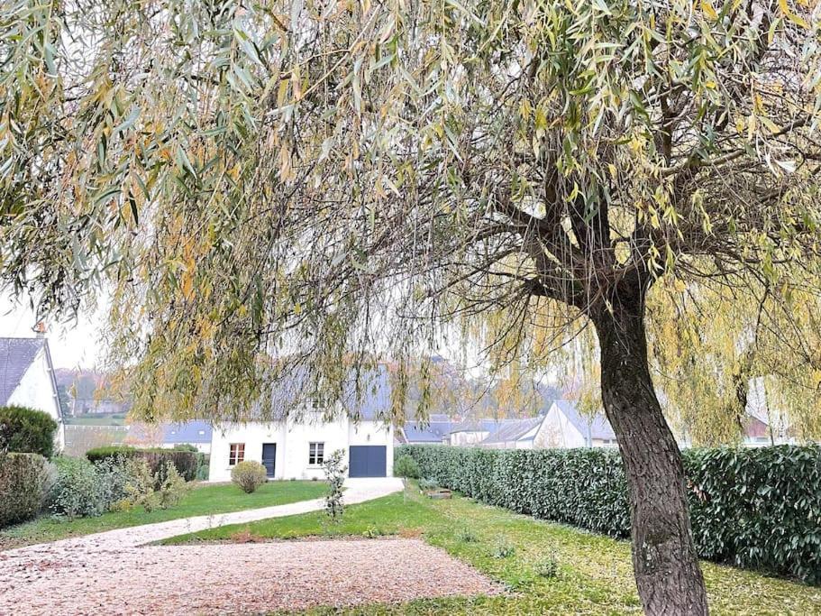 Havre De Paix Spa Proche Amboise & Chateaux De La Loire Noizay Exterior photo
